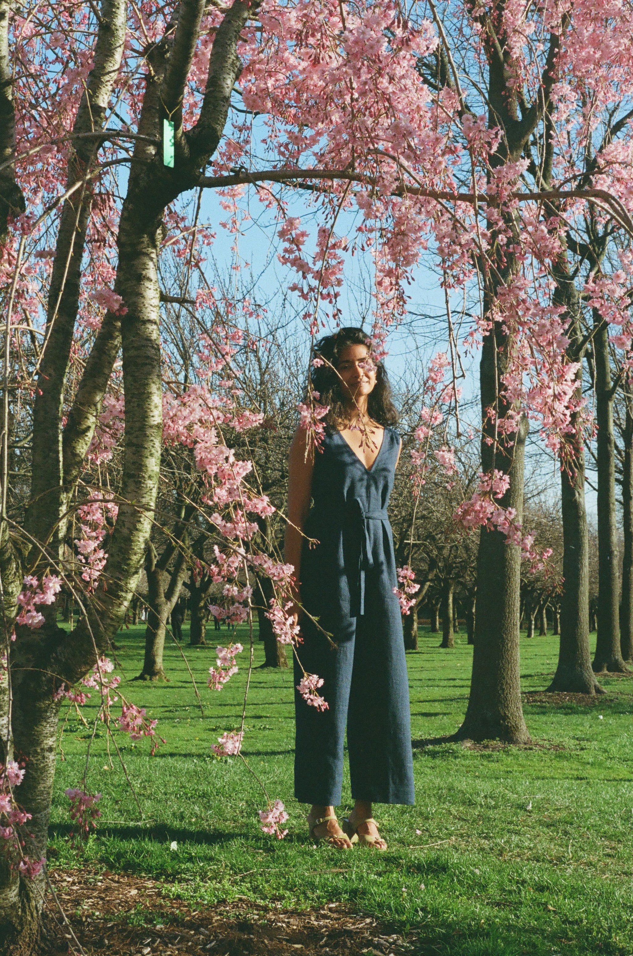 Sophie Jumpsuit Midnight Linen